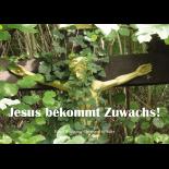 Galerie der Kirchenkritik